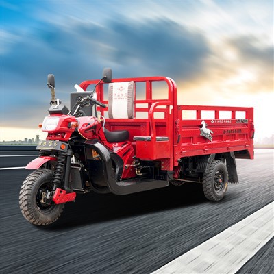 3 Wheeler Load Auto